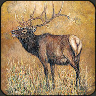 Elk painted on Montana stone by Holly Benay Cutting